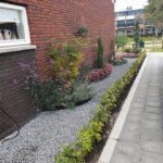 03_Aart_Timmers_Planten_liefhebster